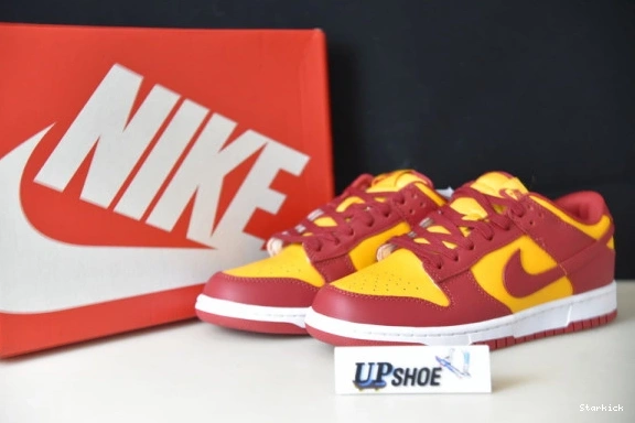 Dunk Gold  Nike Low Midas DD1391-701 0315
